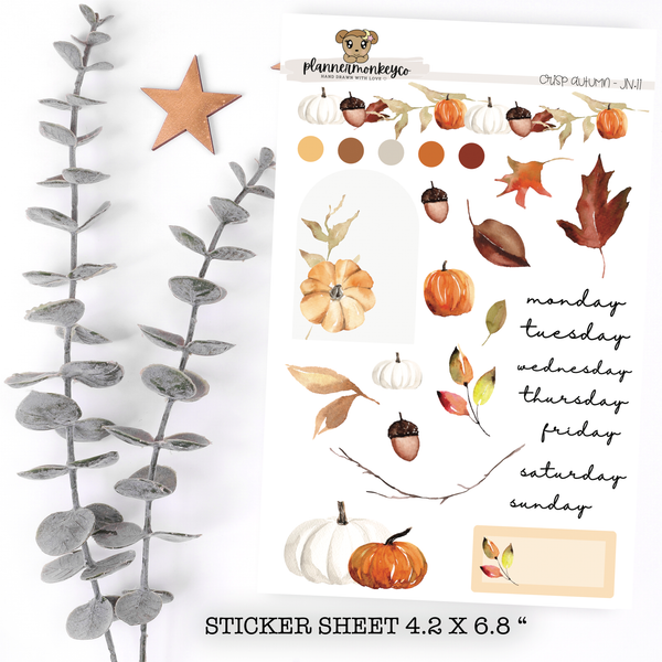 JN.11 | Crisp Autumn Journaling Deco Kit | Transparent + Regular Matte